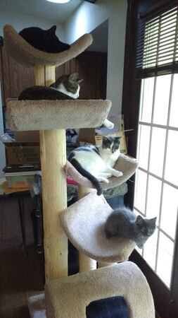full_house.jpg