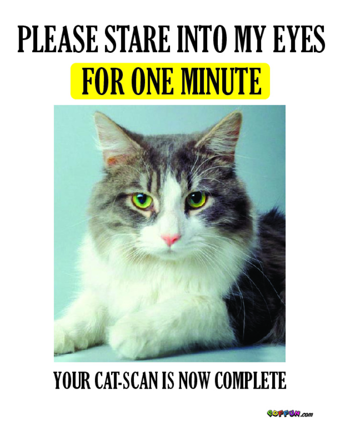 cat_scan.pdf